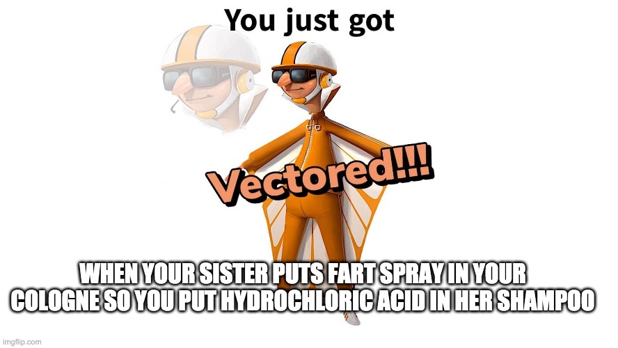 GET VECTERED! | WHEN YOUR SISTER PUTS FART SPRAY IN YOUR COLOGNE SO YOU PUT HYDROCHLORIC ACID IN HER SHAMPOO | image tagged in get vectered | made w/ Imgflip meme maker