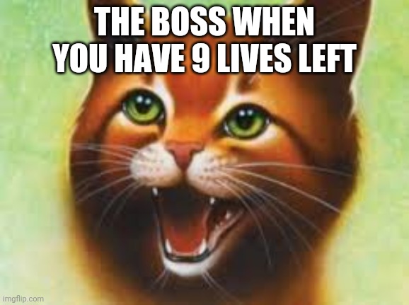 Warrior cats Firestar | THE BOSS WHEN YOU HAVE 9 LIVES LEFT | image tagged in warrior cats firestar | made w/ Imgflip meme maker