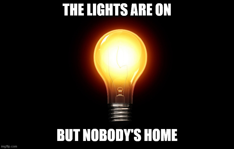light bulb | THE LIGHTS ARE ON BUT NOBODY'S HOME | image tagged in light bulb | made w/ Imgflip meme maker