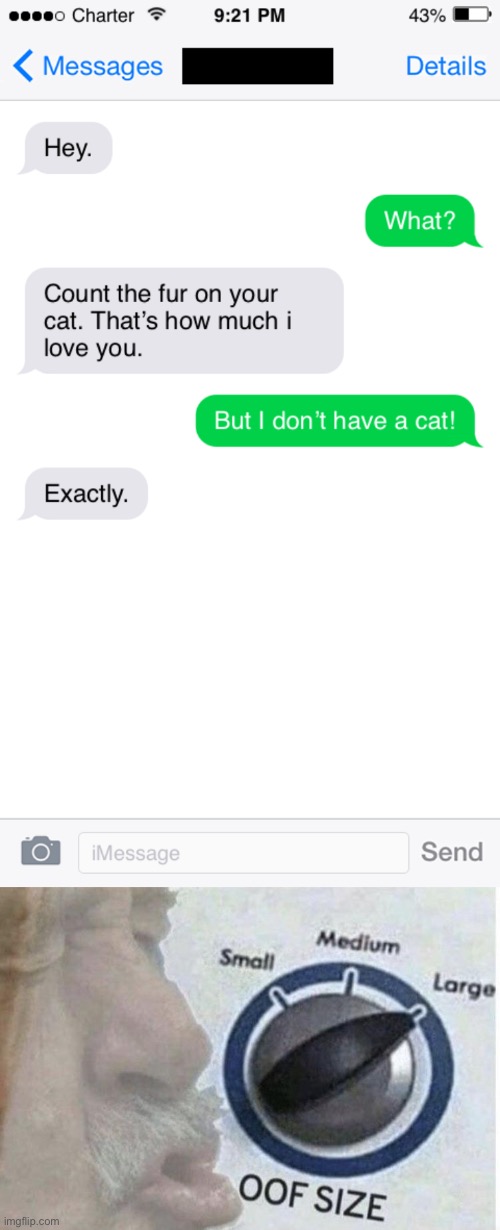 No kitty? | image tagged in oof size large,memes,funny,cat,texting,break up | made w/ Imgflip meme maker