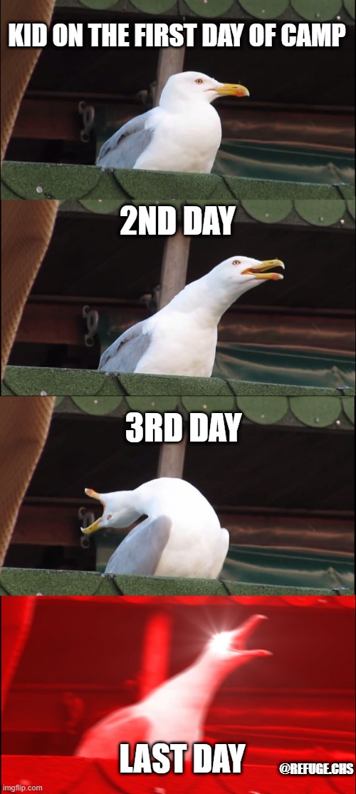 Inhaling Seagull Meme | KID ON THE FIRST DAY OF CAMP; 2ND DAY; 3RD DAY; LAST DAY; @REFUGE.CHS | image tagged in memes,inhaling seagull | made w/ Imgflip meme maker