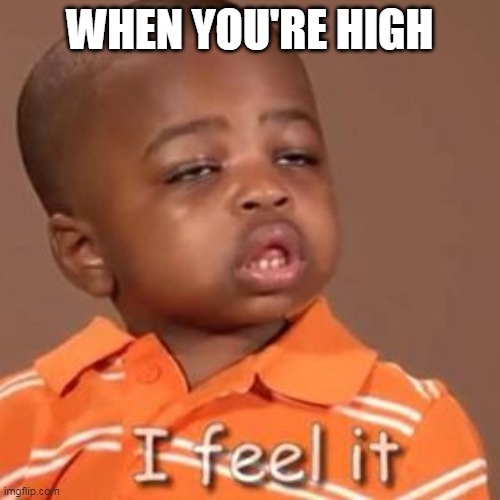 WHEN YOU'RE HIGH | image tagged in imgflip users | made w/ Imgflip meme maker