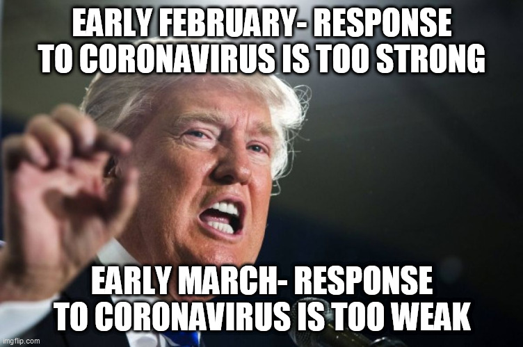 donald trump | EARLY FEBRUARY- RESPONSE TO CORONAVIRUS IS TOO STRONG; EARLY MARCH- RESPONSE TO CORONAVIRUS IS TOO WEAK | image tagged in donald trump | made w/ Imgflip meme maker