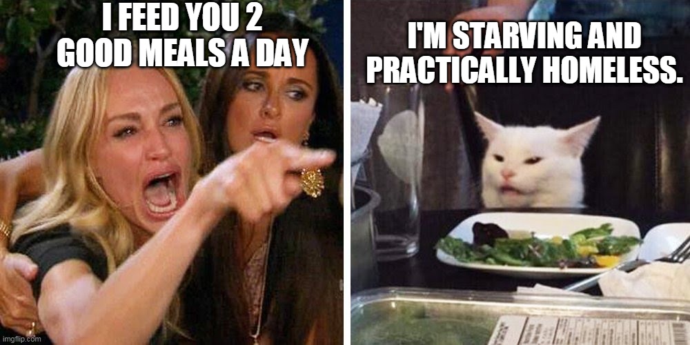 Smudge the cat | I FEED YOU 2 GOOD MEALS A DAY; I'M STARVING AND PRACTICALLY HOMELESS. | image tagged in smudge the cat | made w/ Imgflip meme maker