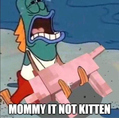MOMMY IT NOT KITTEN | image tagged in imgflip | made w/ Imgflip meme maker