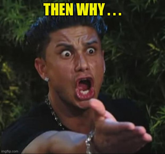 DJ Pauly D Meme | THEN WHY . . . | image tagged in memes,dj pauly d | made w/ Imgflip meme maker