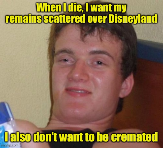 10 Guy Meme | When I die, I want my remains scattered over Disneyland I also don’t want to be cremated | image tagged in memes,10 guy | made w/ Imgflip meme maker