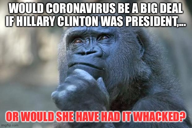 I probably should not be making this Hillary joke...too late | WOULD CORONAVIRUS BE A BIG DEAL IF HILLARY CLINTON WAS PRESIDENT,... OR WOULD SHE HAVE HAD IT WHACKED? | image tagged in memes,deep thoughts,gorilla,hillary clinton,death,coronavirus | made w/ Imgflip meme maker