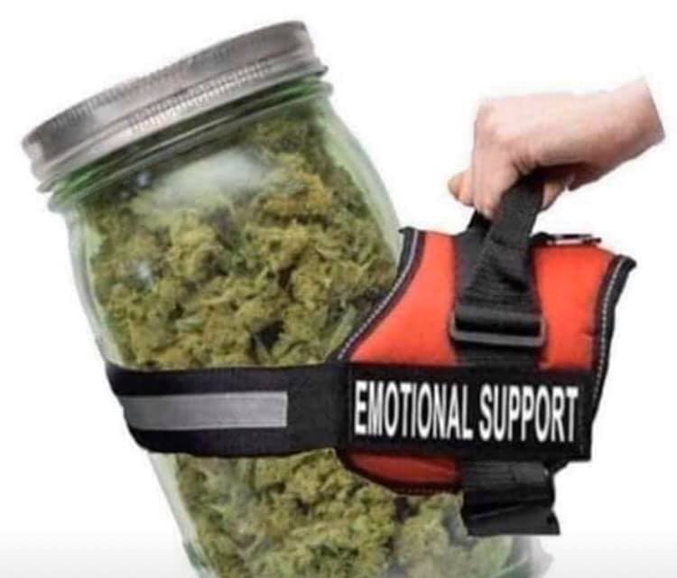 High Quality EMOTIONAL SUPPORT WEED Blank Meme Template
