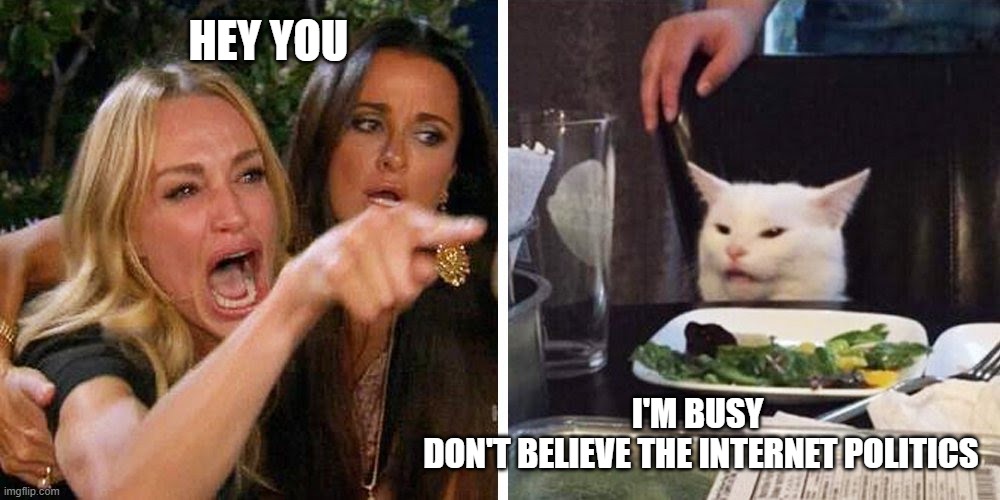 Smudge the cat | HEY YOU; I'M BUSY 
DON'T BELIEVE THE INTERNET POLITICS | image tagged in smudge the cat | made w/ Imgflip meme maker