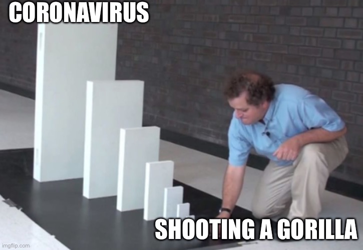 CORONAVIRUS; SHOOTING A GORILLA | image tagged in dicksoutforharambe | made w/ Imgflip meme maker
