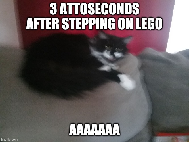 Angery Cat | 3 ATTOSECONDS AFTER STEPPING ON LEGO; AAAAAAA | image tagged in angery cat | made w/ Imgflip meme maker