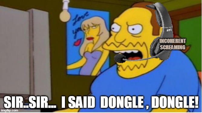 IT Comic Book Guy | INCOHERENT SCREAMING; SIR..SIR...  I SAID  DONGLE , DONGLE! | image tagged in it comic book guy | made w/ Imgflip meme maker