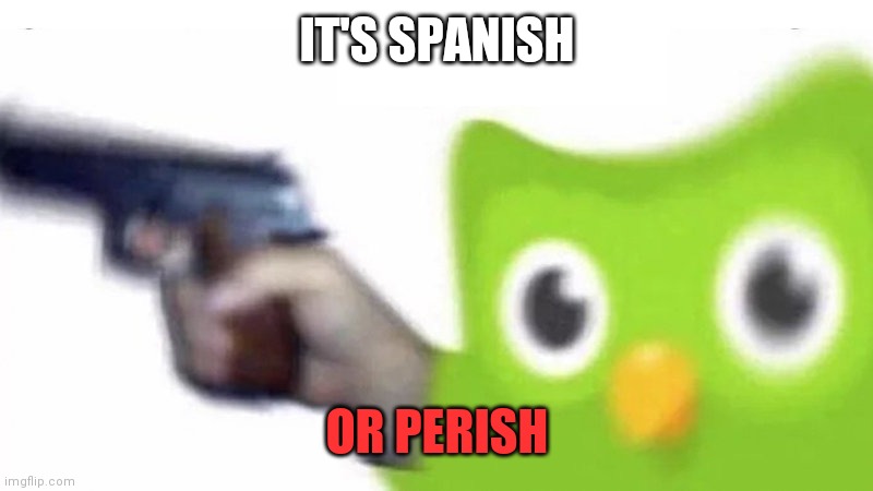 duolingo gun | IT'S SPANISH; OR PERISH | image tagged in duolingo gun | made w/ Imgflip meme maker