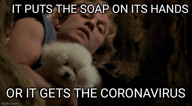Silence of the lambs lotion | IT PUTS THE SOAP ON ITS HANDS; OR IT GETS THE CORONAVIRUS | image tagged in silence of the lambs lotion | made w/ Imgflip meme maker