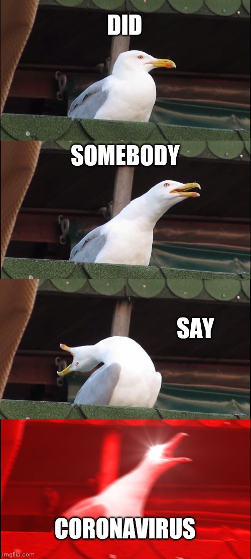 Inhaling Seagull Meme | DID; SOMEBODY; SAY; CORONAVIRUS | image tagged in memes,inhaling seagull | made w/ Imgflip meme maker