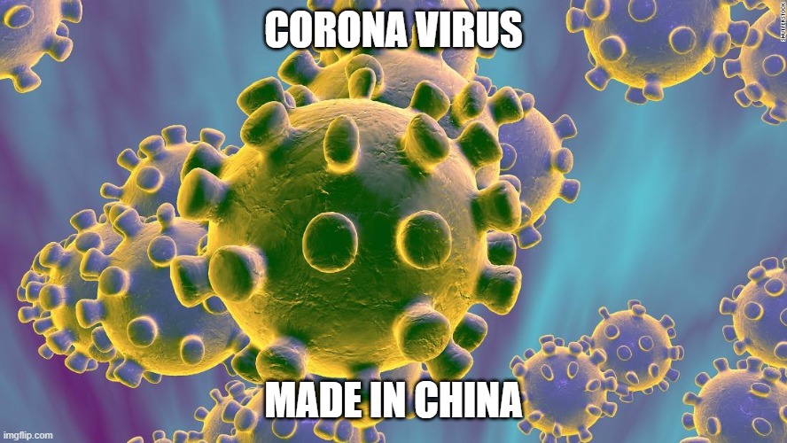 Coronavirus | CORONA VIRUS; MADE IN CHINA | image tagged in coronavirus | made w/ Imgflip meme maker