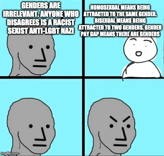 image tagged in funny,memes,npc,politics | made w/ Imgflip meme maker