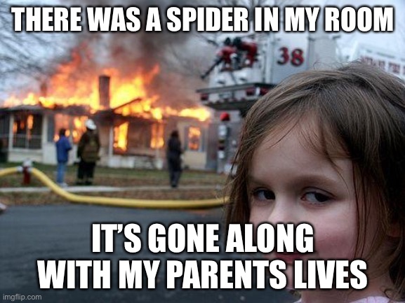 Disaster Girl Meme | THERE WAS A SPIDER IN MY ROOM; IT’S GONE ALONG WITH MY PARENTS LIVES | image tagged in memes,disaster girl | made w/ Imgflip meme maker