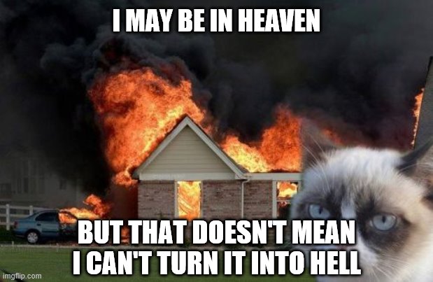 Grumpy Cat Is Still Grumpy! | I MAY BE IN HEAVEN; BUT THAT DOESN'T MEAN I CAN'T TURN IT INTO HELL | image tagged in memes,burn kitty,grumpy cat,fire,hell,heaven | made w/ Imgflip meme maker