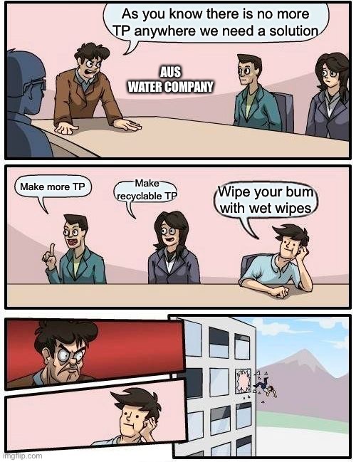 Boardroom Meeting Suggestion | As you know there is no more TP anywhere we need a solution; AUS WATER COMPANY; Make recyclable TP; Make more TP; Wipe your bum with wet wipes | image tagged in memes,boardroom meeting suggestion | made w/ Imgflip meme maker