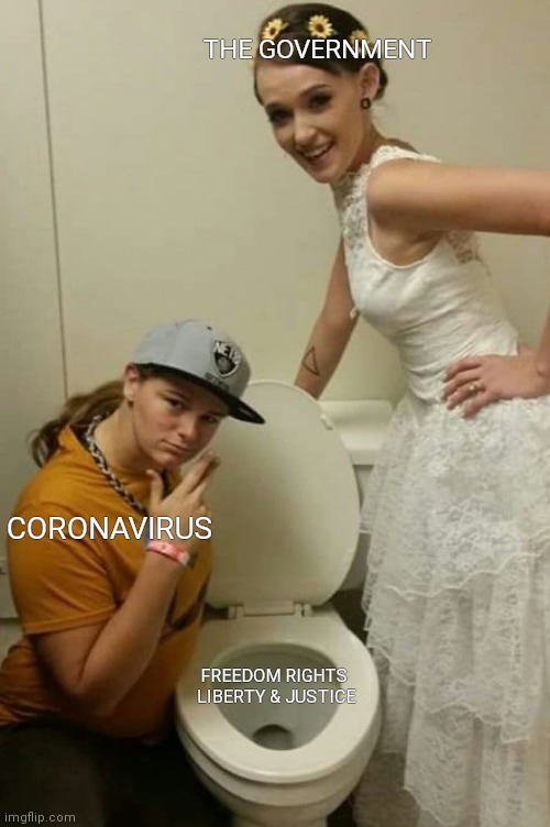 Don't Forget to Flush | THE GOVERNMENT; CORONAVIRUS; FREEDOM RIGHTS
 LIBERTY & JUSTICE | image tagged in coronavirus,world domination,oof,shitpost,freedom,politics lol | made w/ Imgflip meme maker