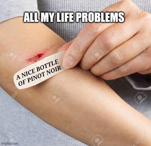 All My Life Problems | image tagged in wine drinker | made w/ Imgflip meme maker
