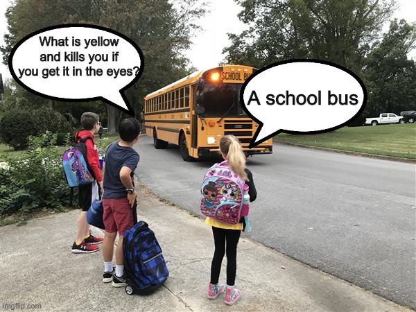 school bus | What is yellow and kills you if you get it in the eyes? A school bus | image tagged in funny | made w/ Imgflip meme maker