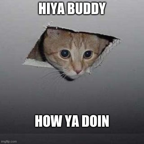 Ceiling Cat | HIYA BUDDY; HOW YA DOIN | image tagged in memes,ceiling cat | made w/ Imgflip meme maker