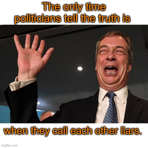The only time | The only time politicians tell the truth is; when they call each other liars. | image tagged in politics | made w/ Imgflip meme maker