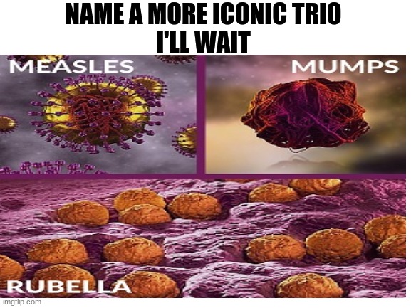 NAME A MORE ICONIC TRIO
I'LL WAIT | image tagged in iconic trio,measles mumps rubella,memes | made w/ Imgflip meme maker