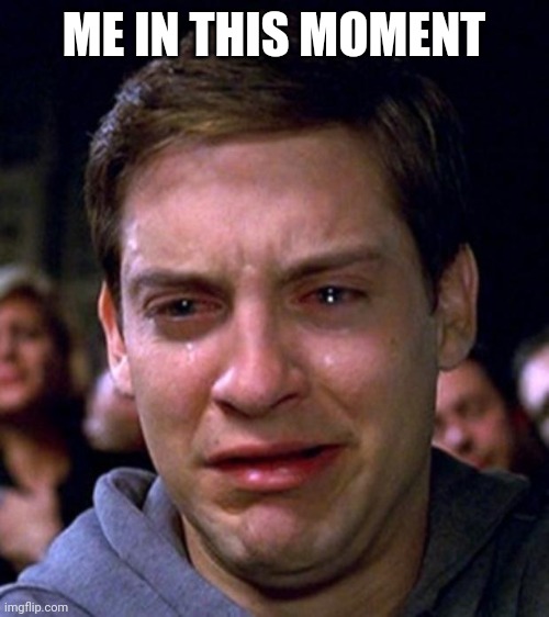 ME IN THIS MOMENT | image tagged in crying peter parker | made w/ Imgflip meme maker