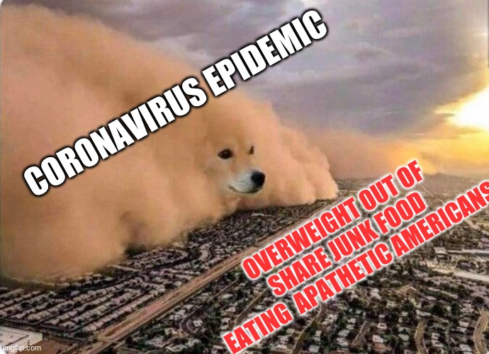 CORONAVIRUS EPIDEMIC; OVERWEIGHT OUT OF SHARE JUNK FOOD EATING  APATHETIC AMERICANS | image tagged in coronavirus,americans,meme | made w/ Imgflip meme maker