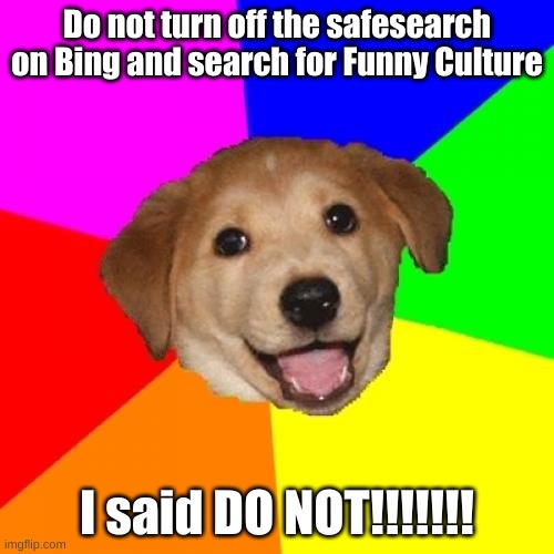 Advice Dog | Do not turn off the safesearch on Bing and search for Funny Culture; I said DO NOT!!!!!!! | image tagged in memes,advice dog | made w/ Imgflip meme maker