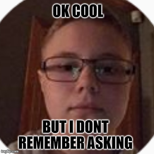 Ok cool But i dont remember asking | OK COOL; BUT I DONT REMEMBER ASKING | image tagged in comeback,i dont care | made w/ Imgflip meme maker