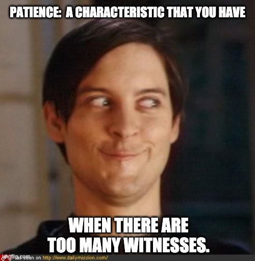 That look you give your friend | PATIENCE:  A CHARACTERISTIC THAT YOU HAVE; WHEN THERE ARE TOO MANY WITNESSES. | image tagged in that look you give your friend | made w/ Imgflip meme maker