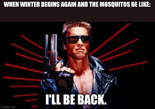 I'll be back | WHEN WINTER BEGINS AGAIN AND THE MOSQUITOS BE LIKE: I'LL BE BACK. | image tagged in i'll be back | made w/ Imgflip meme maker