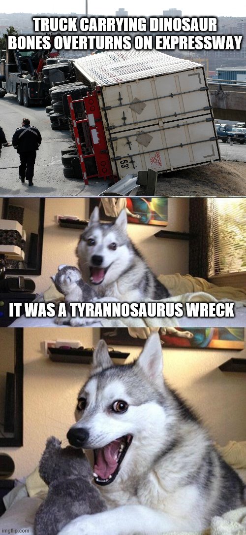 truck accident | TRUCK CARRYING DINOSAUR BONES OVERTURNS ON EXPRESSWAY; IT WAS A TYRANNOSAURUS WRECK | image tagged in dinosaur,bad pun dog | made w/ Imgflip meme maker