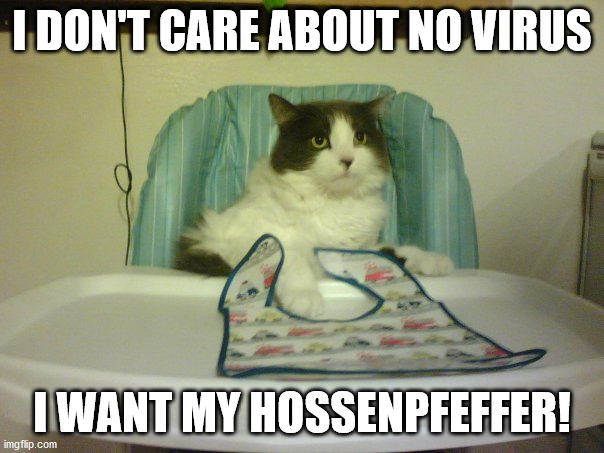 cat in chair | I DON'T CARE ABOUT NO VIRUS; I WANT MY HOSSENPFEFFER! | image tagged in cat in chair | made w/ Imgflip meme maker