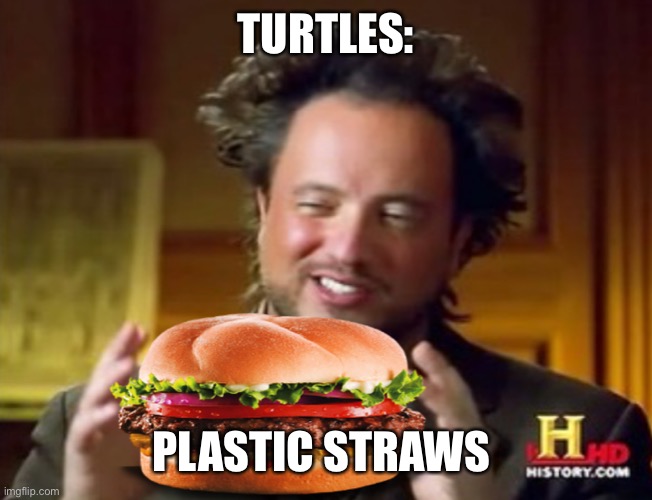 Mr history hamburger  | TURTLES:; PLASTIC STRAWS | image tagged in mr history hamburger | made w/ Imgflip meme maker