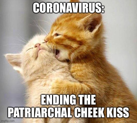 Kissing Kittens  | CORONAVIRUS:; ENDING THE PATRIARCHAL CHEEK KISS | image tagged in kissing kittens | made w/ Imgflip meme maker