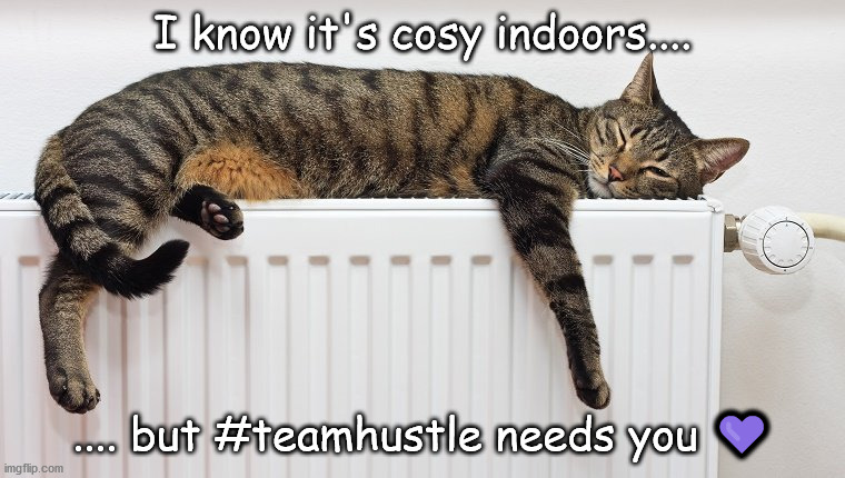 Cosy Cat @ Hustle | I know it's cosy indoors.... .... but #teamhustle needs you 💜 | image tagged in cat,fitness,hustle | made w/ Imgflip meme maker
