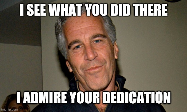 Jeffrey Epstein | I SEE WHAT YOU DID THERE I ADMIRE YOUR DEDICATION | image tagged in jeffrey epstein | made w/ Imgflip meme maker
