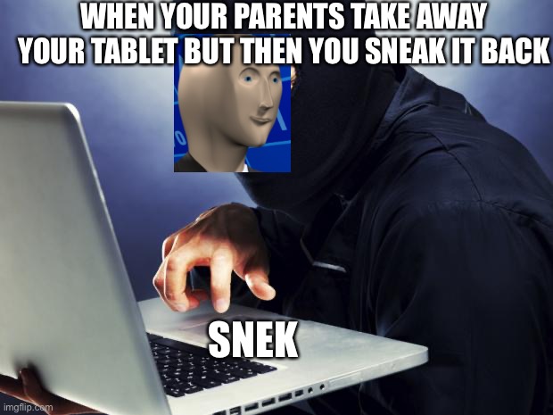 Ninja | WHEN YOUR PARENTS TAKE AWAY YOUR TABLET BUT THEN YOU SNEAK IT BACK; SNEK | image tagged in ninja | made w/ Imgflip meme maker