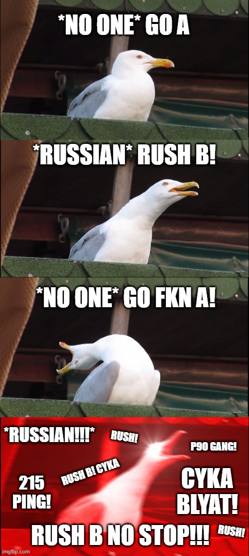 Inhaling Seagull Meme - Imgflip