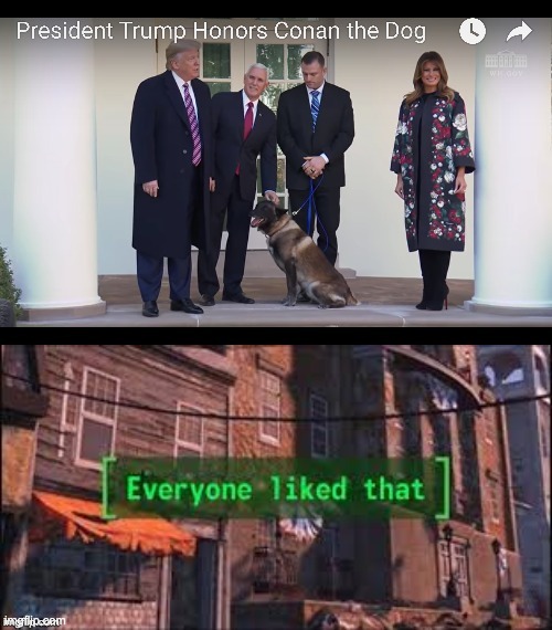 Everyone liked that apart from the feminazis, leftists, libtards & SJWs, of course. Because orange man bad. | image tagged in funny,memes,politics,everyone liked that,dogs,donald trump | made w/ Imgflip meme maker