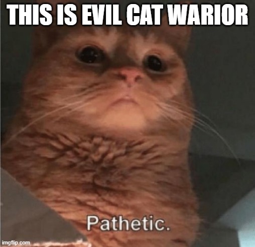 warrior cats but better | THIS IS EVIL CAT WARRIOR | image tagged in pathetic cat,warrior cats meme | made w/ Imgflip meme maker