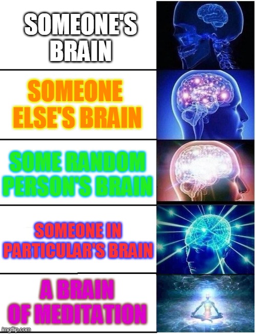 Expanding Brain 5 Panel | SOMEONE'S BRAIN; SOMEONE  ELSE'S BRAIN; SOME RANDOM PERSON'S BRAIN; SOMEONE IN PARTICULAR'S BRAIN; A BRAIN OF MEDITATION | image tagged in expanding brain 5 panel | made w/ Imgflip meme maker