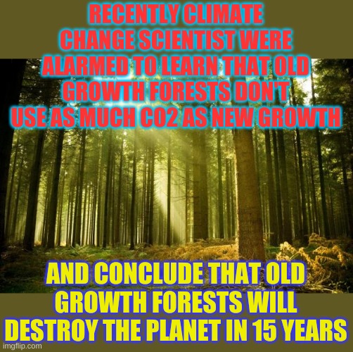 And of course that is all mankind's fault. | RECENTLY CLIMATE CHANGE SCIENTIST WERE ALARMED TO LEARN THAT OLD GROWTH FORESTS DON'T USE AS MUCH CO2 AS NEW GROWTH; AND CONCLUDE THAT OLD GROWTH FORESTS WILL DESTROY THE PLANET IN 15 YEARS | image tagged in sunlit forest | made w/ Imgflip meme maker