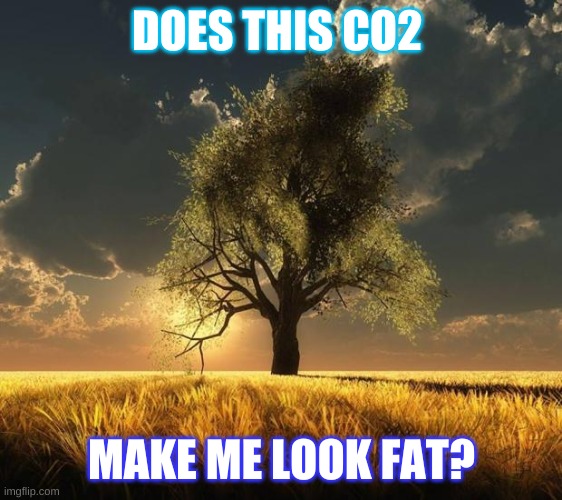 Tree of Life | DOES THIS CO2 MAKE ME LOOK FAT? | image tagged in tree of life | made w/ Imgflip meme maker